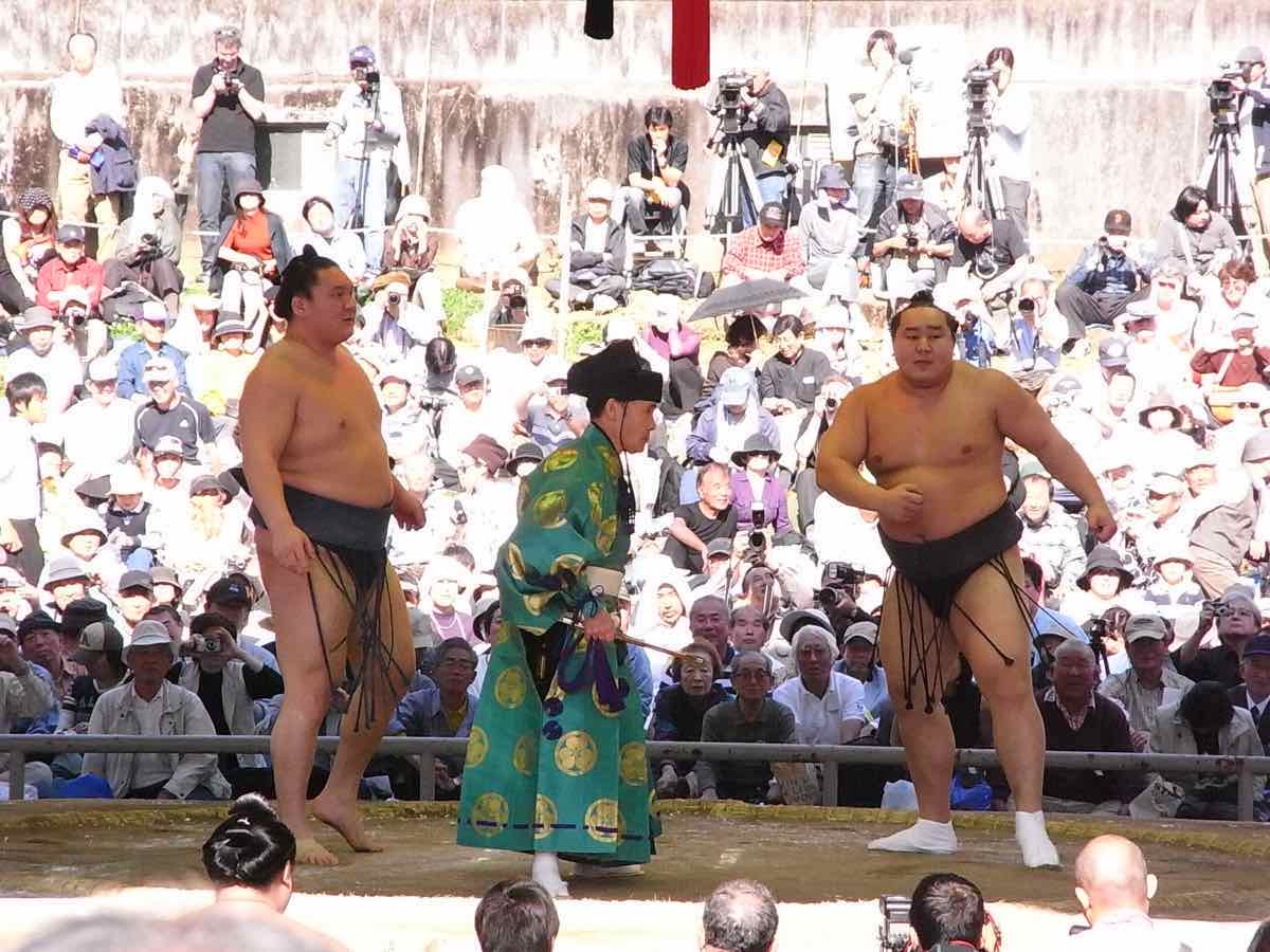 How Japan’s cherished sumo has embraced foreign talent